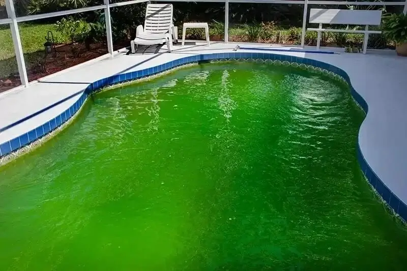 Cloudy and green pool water before treatment