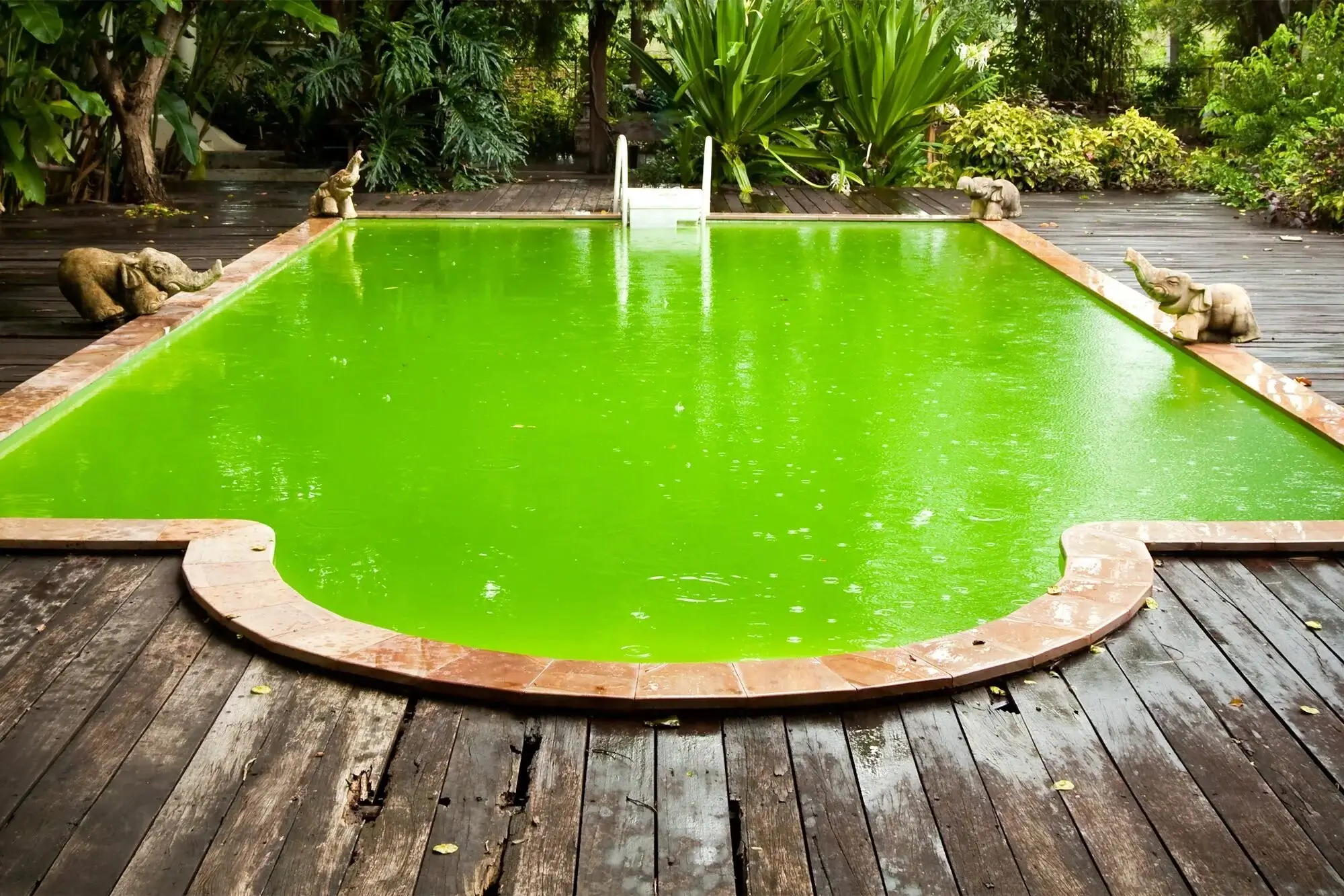 Slightly green pool water indicating algae