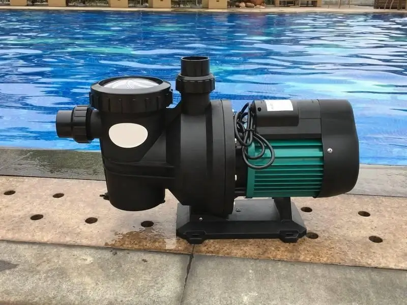 Energy efficient variable speed pool pump
